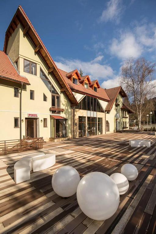 Vila Pinul Si Mesteacanul Ξενοδοχείο Poiana Brasov Εξωτερικό φωτογραφία